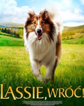 Lassie, wróć!