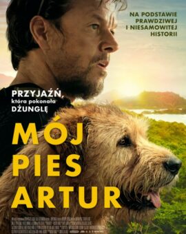 Mój pies Artur
