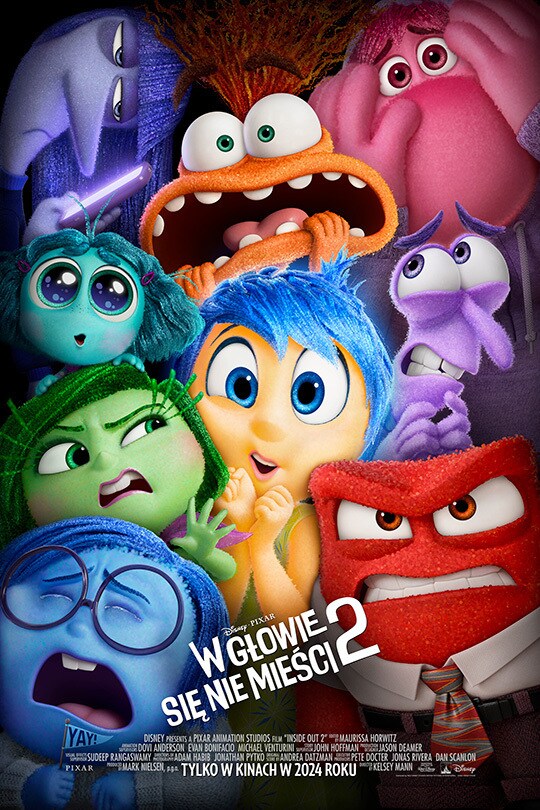 W głowie się nie mieści 2 – 2D dubbing