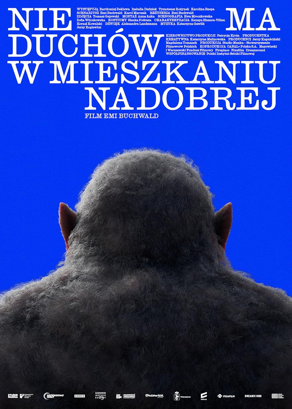 Nie ma duchów w mieszkaniu na Dobrej