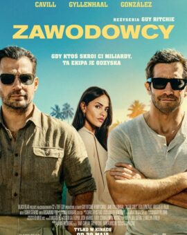 Zawodowcy